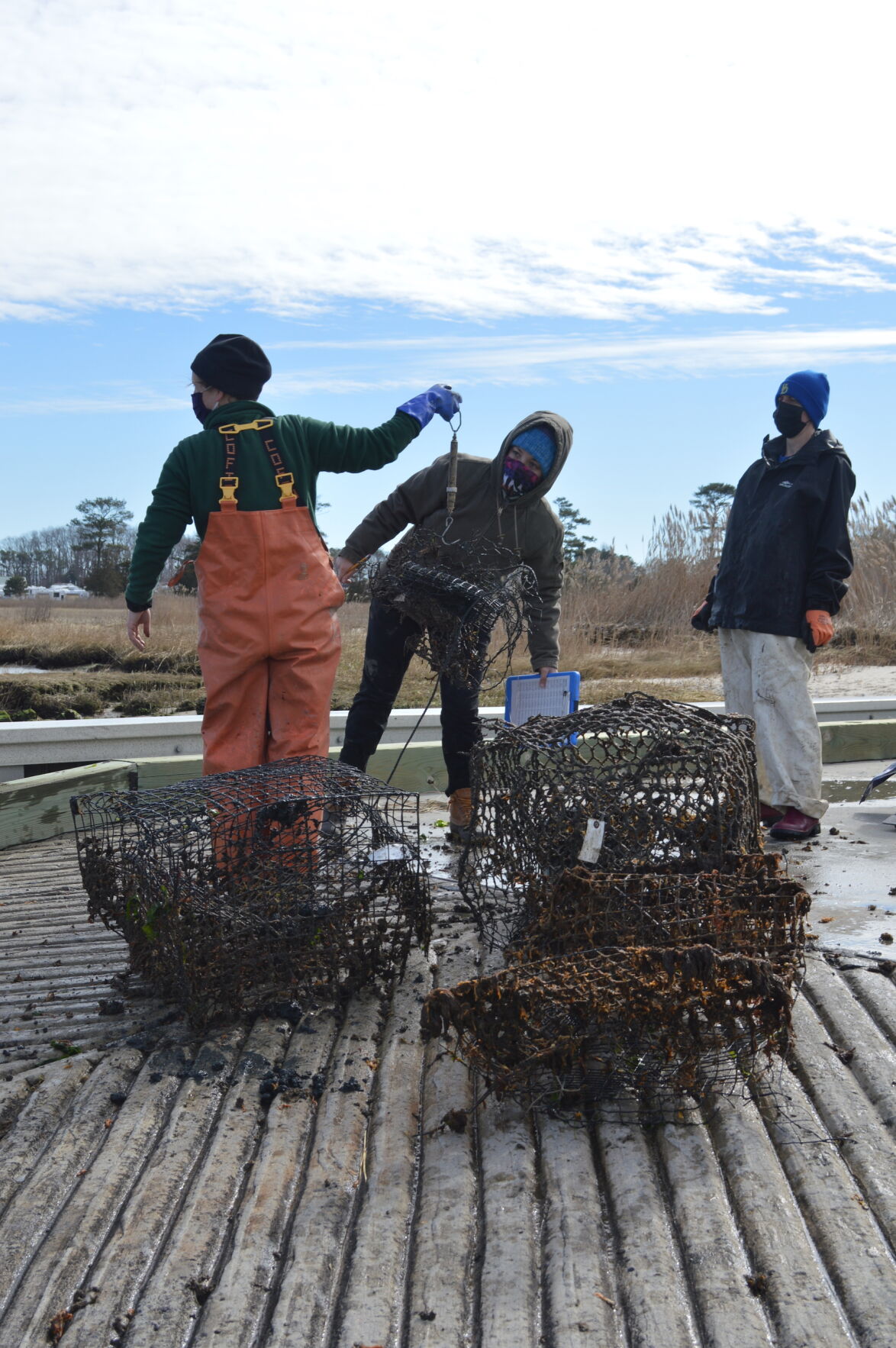 Crab pot collection 6